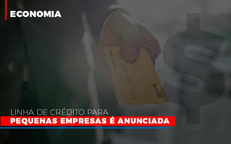 Linha De Credito Para Pequenas Para Pequenas Empresas E Anunciada - Contabilidade em Campinas | JL Ramos Contabilidade Digital